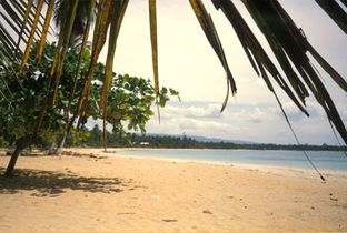 Hotel Casa Robinson Beach